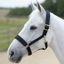 Bucas Comfort Halfter Schwarz / schwarz