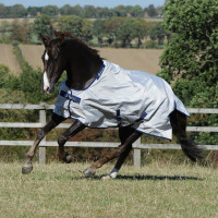 Couverture Bucas Sun Shower Argent
