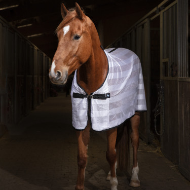 Reitshirt Riding World Mesh Reitshirt Riding World Mesh
