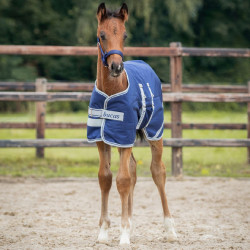Fohlen-Decke Bucas Turnout 50g