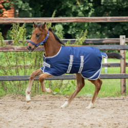 Fohlen-Decke Bucas Turnout 50g Marineblau Silber / Marineblau Fohlen-Decke Bucas Turnout 50g Marineblau Silber / Marineblau