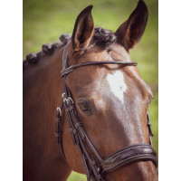 Trense Courchevel Jump'In One Havanna Braun