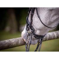 Lackiertes Dressurzaum Jump'In Week Schwarz Lackiertes Dressurzaum Jump'In Week Schwarz