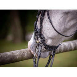 Lackiertes Dressurzaum Jump'In Week Schwarz