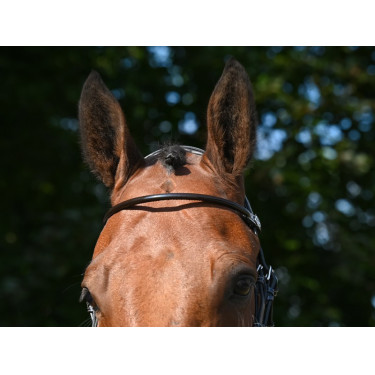 Frontal Jump'In Lackleder rund Havanna Braun