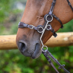 Jump'In Schutz für Hackamore 0091 und 0092