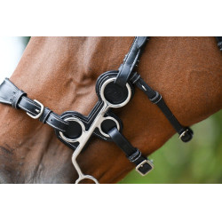 Jump'In Schutz für Hackamore 0091 und 0092 Schwarz