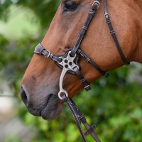 Jump'In Schutz für Hackamore 0093 Havanna Braun Jump'In Schutz für Hackamore 0093 Havanna Braun