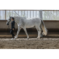 Reitleggings Equithème Acacia Schwarz Reitleggings Equithème Acacia Schwarz