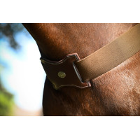 Elastischer Bricole Jump'In Havanna Braun Elastischer Bricole Jump'In Havanna Braun