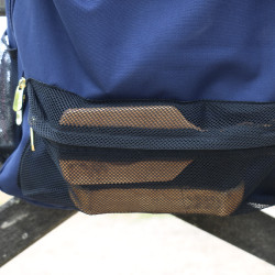 Kentucky Stalltasche Marineblau