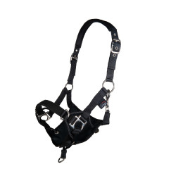 Halfter Safe Control Style HKM Halfter Safe Control Style HKM