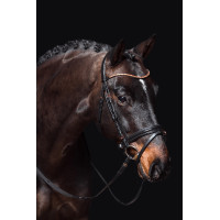 Trense Rosegold Glamour Style HKM Schwarz / Roségold