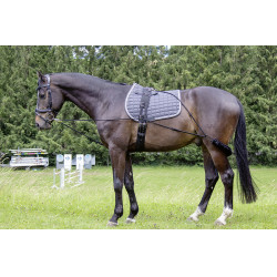 HKM Longiersystem