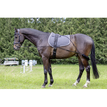 HKM Longiersystem
