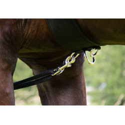 HKM Longiersystem Schwarz HKM Longiersystem Schwarz