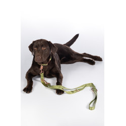 Qooper Nylon HKM Hundetrainingsleine Pistazie Gr&uuml;n