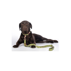 Qooper Nylon HKM Hundetrainingsleine Pistazie Gr&uuml;n