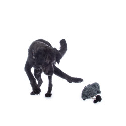Hundespielzeug Buddy Sheep HKM Hundespielzeug Buddy Sheep HKM