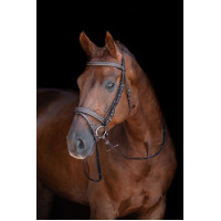 Bridon Lou HKM Braun