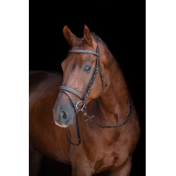 Bridon Lou HKM Braun