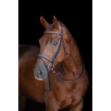 Bridon Lou HKM Braun