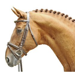 Bridon Lou HKM Braun