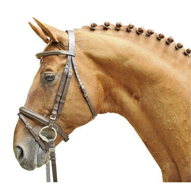 Bridon Lou HKM Braun