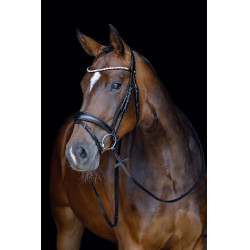 Trense Melinda HKM Schwarz Trense Melinda HKM Schwarz