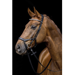 Trense Pro Anatomic HKM