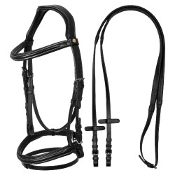 Erhöhte und gepolsterte anatomische Trense Equestro
