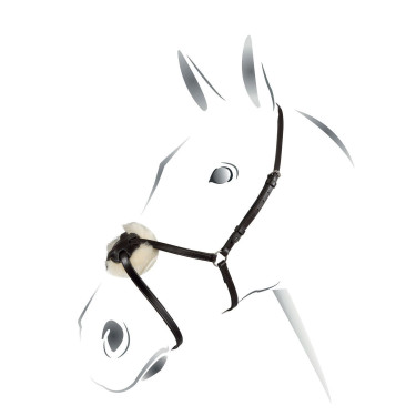 Trense mit mexikanischem Reithalfter Equestro Schwarz