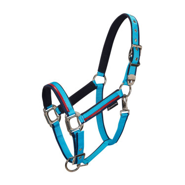 Nylonhalfter mit Führstrick Red Trim Equestro Türkis / Rot / Marineblau Nylonhalfter mit Führstrick Red Trim Equestro Türkis / Rot / Marineblau