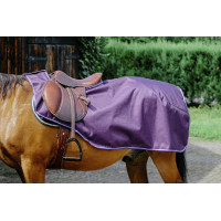 Nierendecke Equithème Tyrex 600D Fleece Pflaume Lila