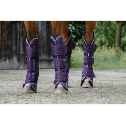 Transportgamaschen Equithème Tyrex 600D Pflaume Lila Transportgamaschen Equithème Tyrex 600D Pflaume Lila