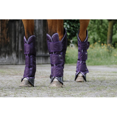Transportgamaschen Equithème Tyrex 600D Pflaume Lila Transportgamaschen Equithème Tyrex 600D Pflaume Lila