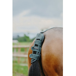 Schweifschoner Equithème Tyrex 600D
