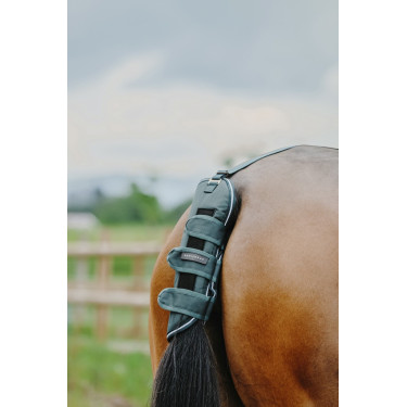 Schweifschoner Equithème Tyrex 600D