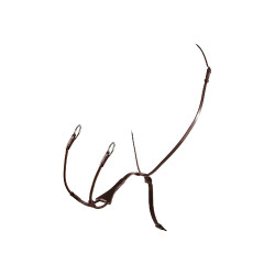 Martingal mit Lederriemen Melanie mit elastischer Gabel Equestro Dunkelbraun