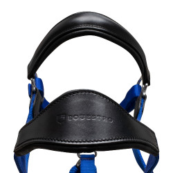 Ergonomisches Halfter mit Ledereinsätzen Lani Equestro Schwarz / Royalblau