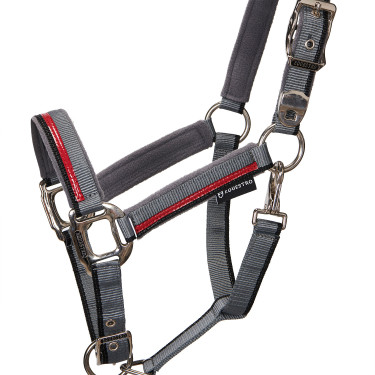 Nylonhalfter mit Führstrick Red Trim Equestro Grau / Rot / Schwarz