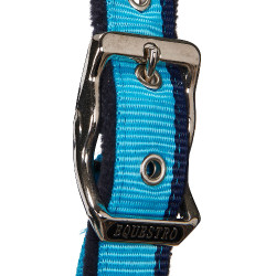 Nylonhalfter mit Führstrick Red Trim Equestro Türkis / Rot / Marineblau Nylonhalfter mit Führstrick Red Trim Equestro Türkis / Rot / Marineblau