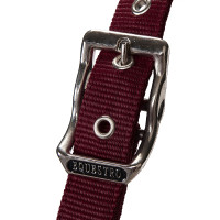 Nylonhalfter mit Führstrick und Fleece-Futter Equestro Schwarz