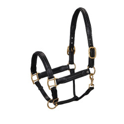 Oberer Lederhalfter Equestro
