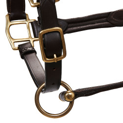 Oberer Lederhalfter Equestro Dunkelbraun
