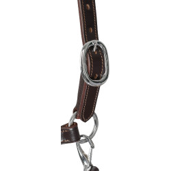 Lederhalfter mit ergonomischem Schutz und Nasenriemen aus Seil Acavallo Dunkelbraun Lederhalfter mit ergonomischem Schutz und Nasenriemen aus Seil Acavallo Dunkelbraun