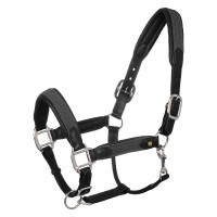 Lederhalfter mit Einsätzen aus geflochtenem Nylon Equestro Schwarz / Grau