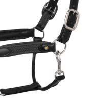 Lederhalfter mit Einsätzen aus geflochtenem Nylon Equestro Schwarz / Grau Lederhalfter mit Einsätzen aus geflochtenem Nylon Equestro Schwarz / Grau