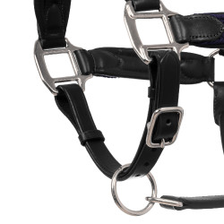 Lederhalfter mit Einsätzen aus geflochtenem Nylon Equestro Schwarz / Marineblau