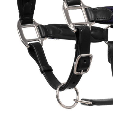 Lederhalfter mit Einsätzen aus geflochtenem Nylon Equestro Schwarz / Marineblau